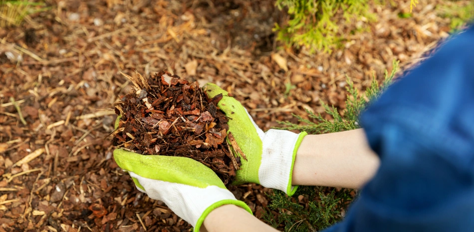 Forestry Mulching