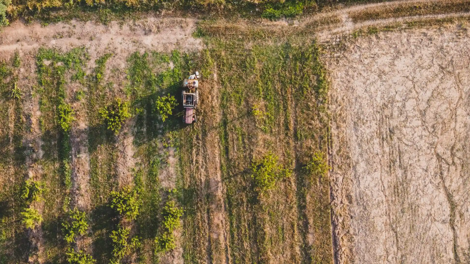 Land clearing photo of a tractor and a big field